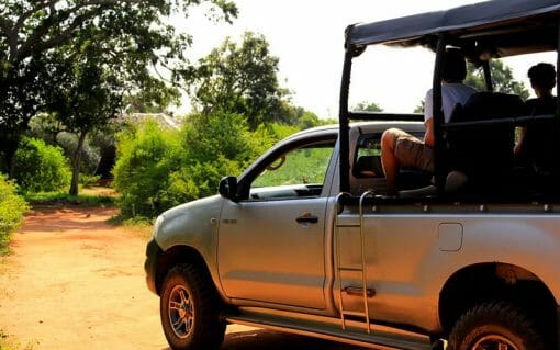 Yala National Park Half Day (4 hours) Private Safari - Image 2