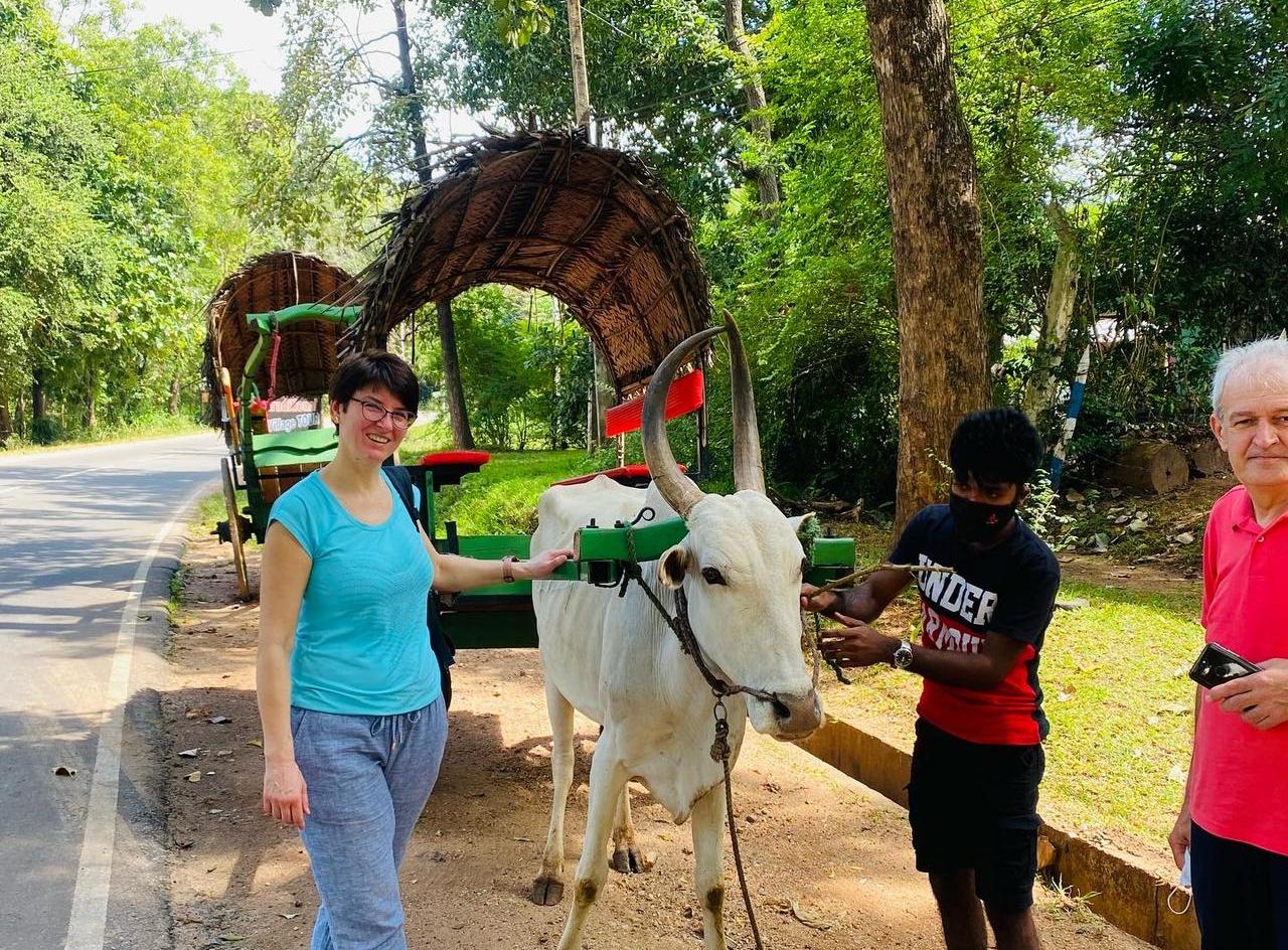 Cart Riding at Sigiriya Village Tour