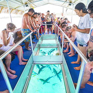 Glass Bottom Boat Ride at Hikkaduwa