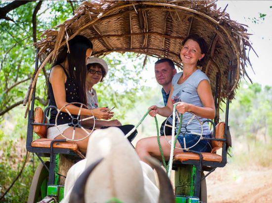 Bullock Cart Riding at Sigiriya Village Tour