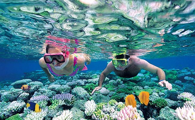 Snorkeling in Hikkaduwa