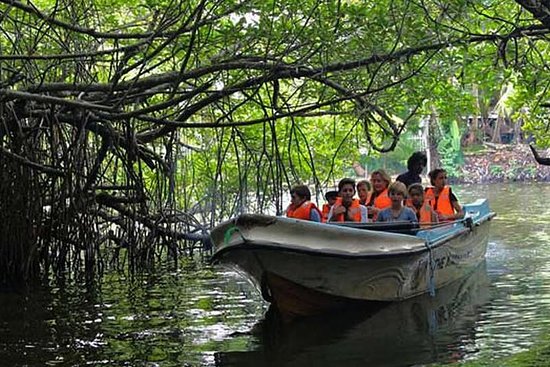 MaduRiver Boat Ride in the Evening