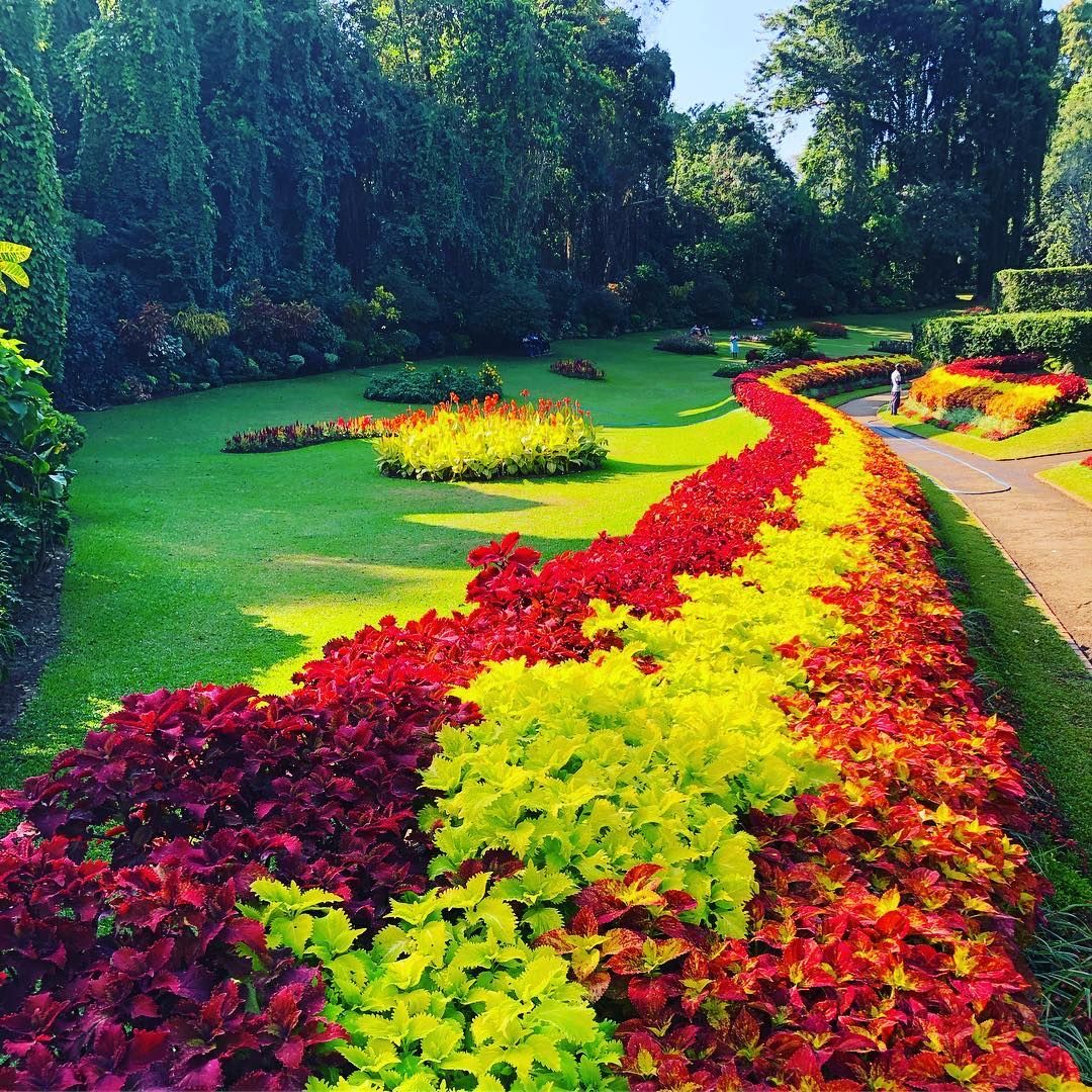 Flower Garden at Peradeniya