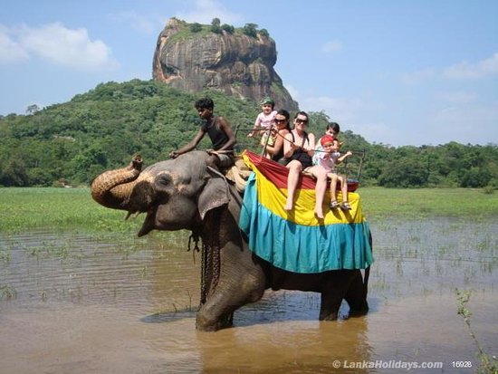 Sigiriya Elephant back Riding