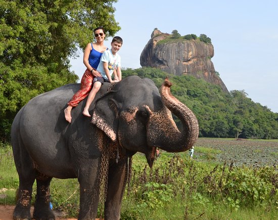 Elephant Ride at Sigiriya