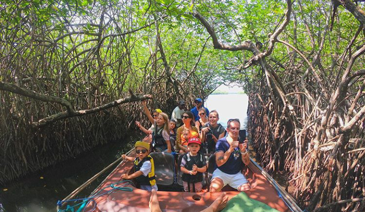 Mangroves at Bentota Madu River