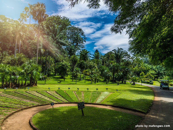 Peradeniya Botanical Garden