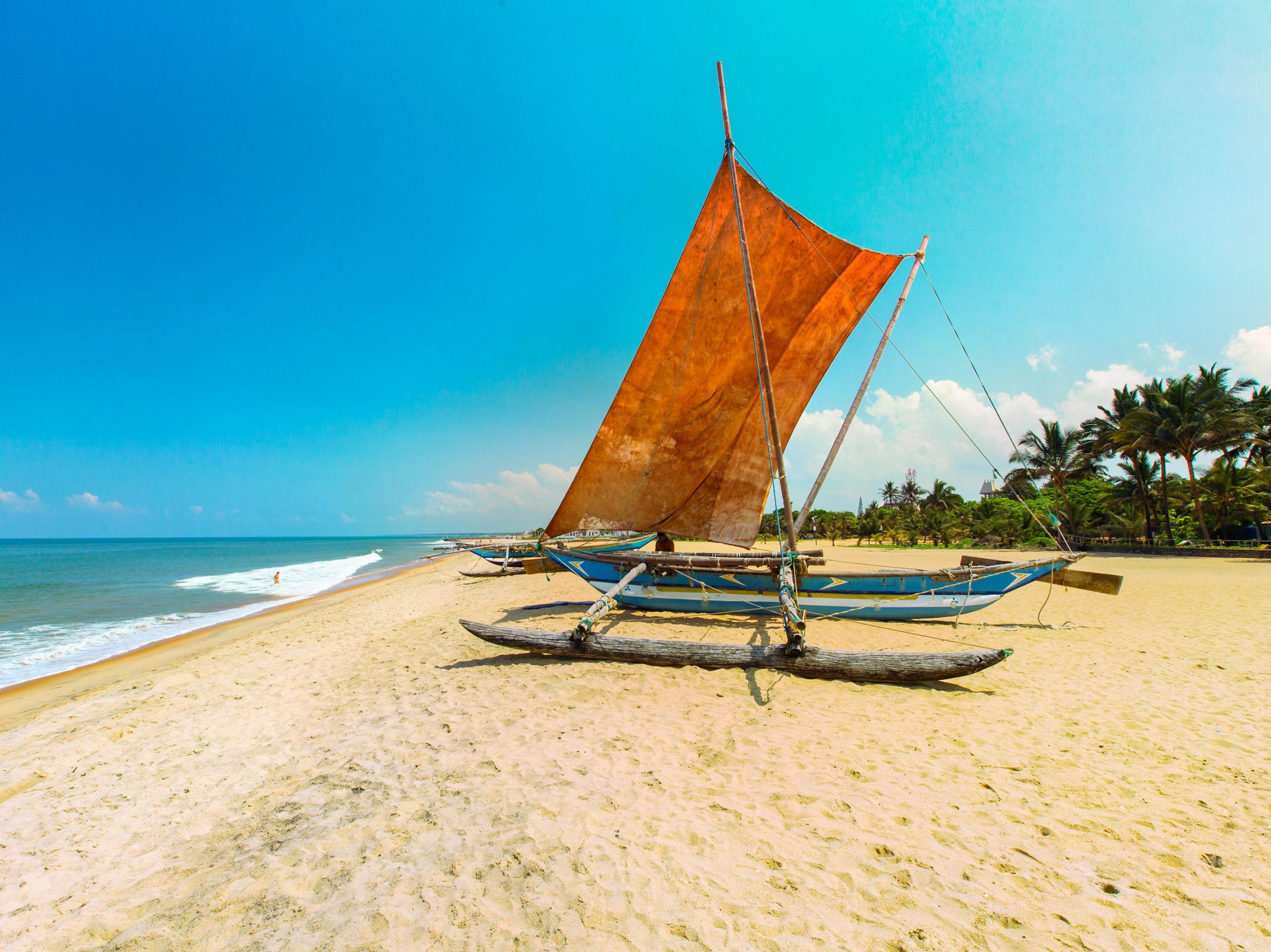 negombo beach  photo