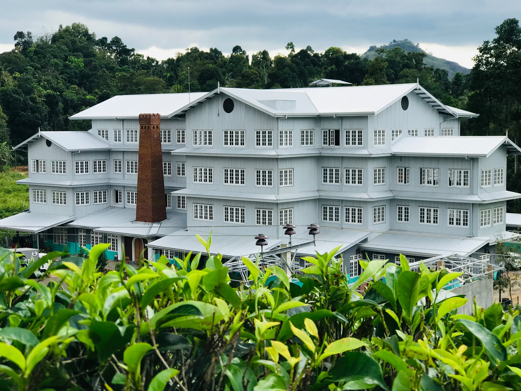 giragama tea factory far view within tea plants