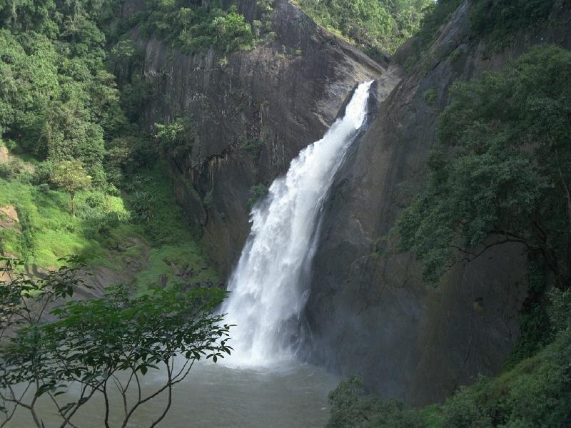 dunhinda falls far view