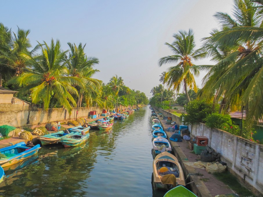 hamilton canal negombo boats