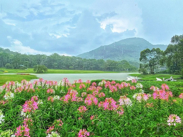 seethawaka botnical garden