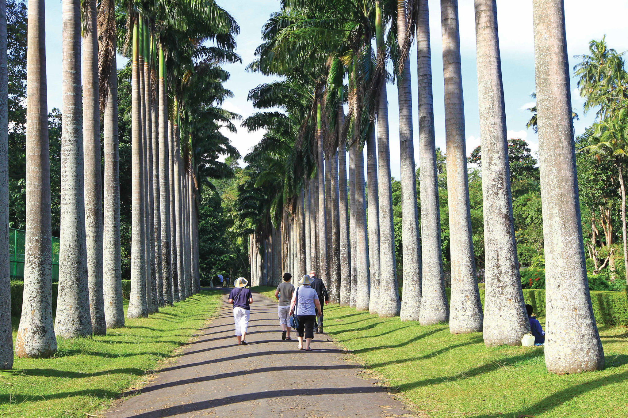 Peradeniya botanical garden entrance gate