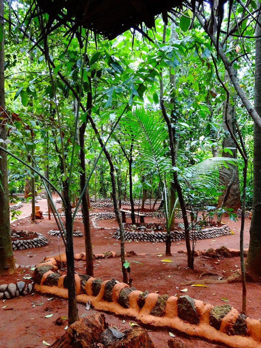 spices garden matale garden