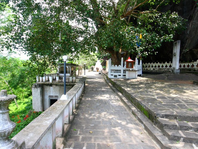 bo tree in mulkirigala rock temple