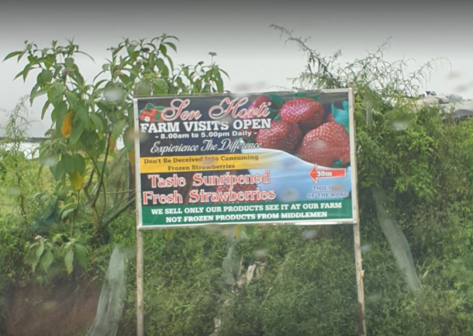 sen horti strawberry farm outside board