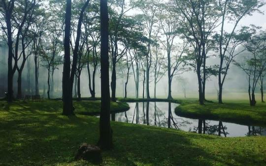 seethawaka park lake with fog