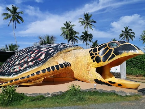 Turtle Hatchery Ahungalla photo