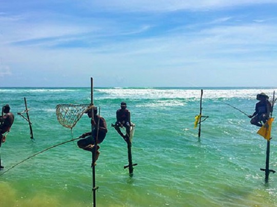 stilt fishermans in koggala beach