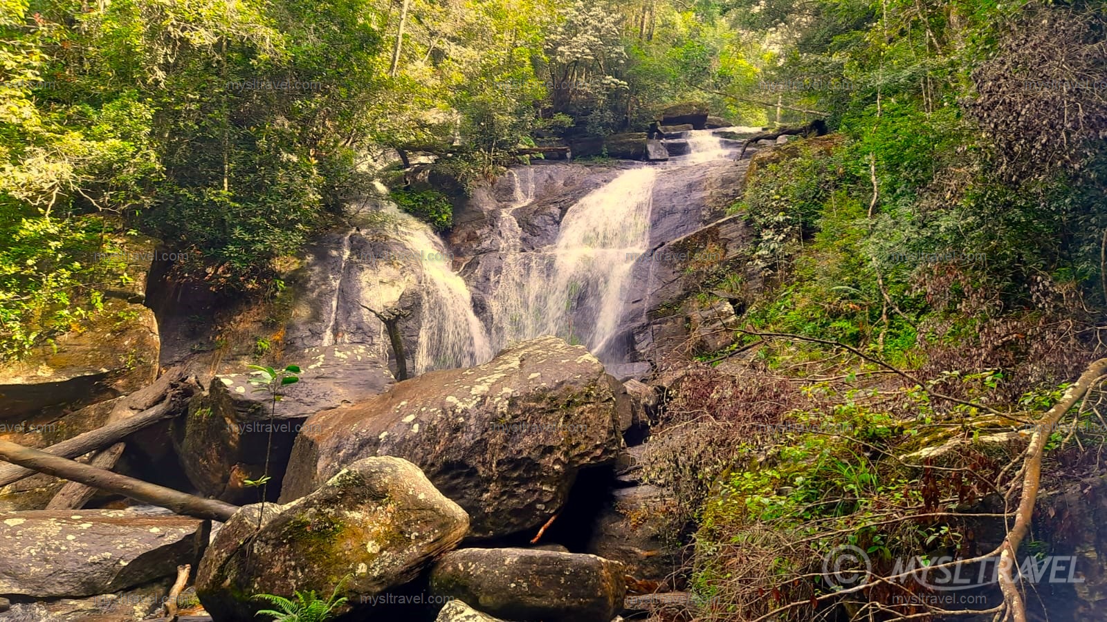 Sinharaja Rain Forest - Water falls at Sinharaja Rain Forest