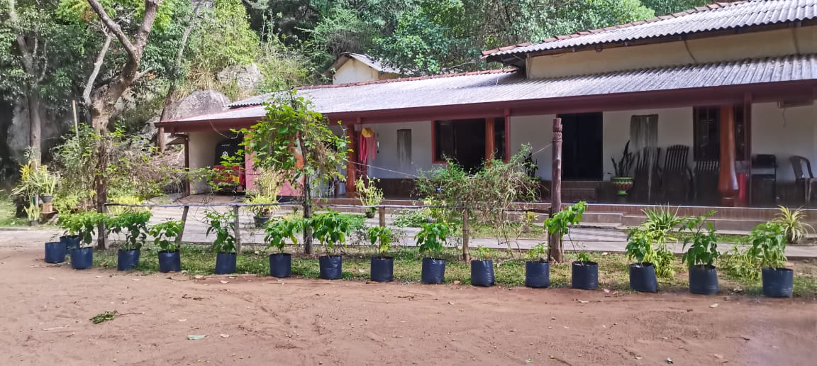 Pidurangala Rock Temple Entrance Ticket Counter